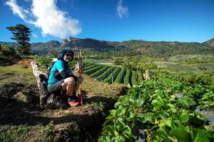 BIB: 
                            <button type="button" onclick="openModal(19125998)" class="btn btn-primary btn-sm float-right btn-popup" data-toggle="modal" data-target=".modal-high-quality">
                        <i class="fas fa-shopping-cart"></i> Add to Cart
                    </button>
                                            <button type="button" onclick="isThisMe(19125998, true)" class="btn btn-success btn-sm float-right btn-popup btn-isme hidden" data-toggle="tooltip" data-placement="bottom" title="นี่คือรูปของคุณใช่ไหม คลิกที่นี่เพื่อเอาเข้าอัลบั้ม">
                        <i class="fas fa-plus"></i> Add to album
                    </button>
                    <button type="button" onclick="isThisMe(19125998, false)" class="btn btn-warning btn-sm float-right btn-popup btn-isnotme hidden">
                        <i class="fas fa-ban"></i> Remove from album
                    </button>